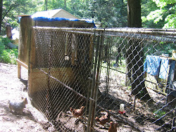 chicken coop muskegon mi 49444 9