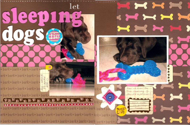 [2008-Let+Sleeping+Dogs+Lie.jpg]