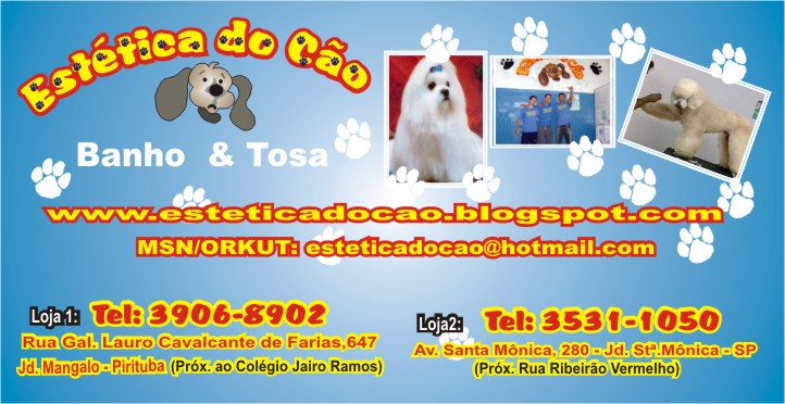 Estética do Cão