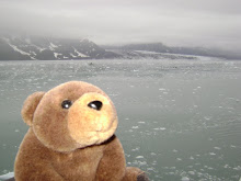 Teddy Bear in Alaska