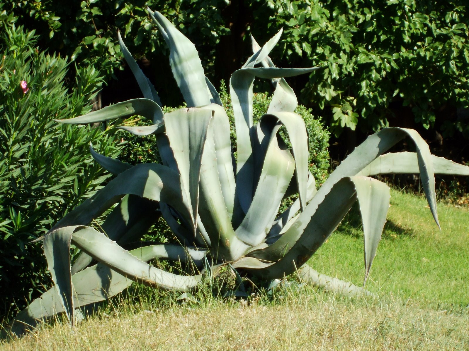 [DSCF0524.JPG]