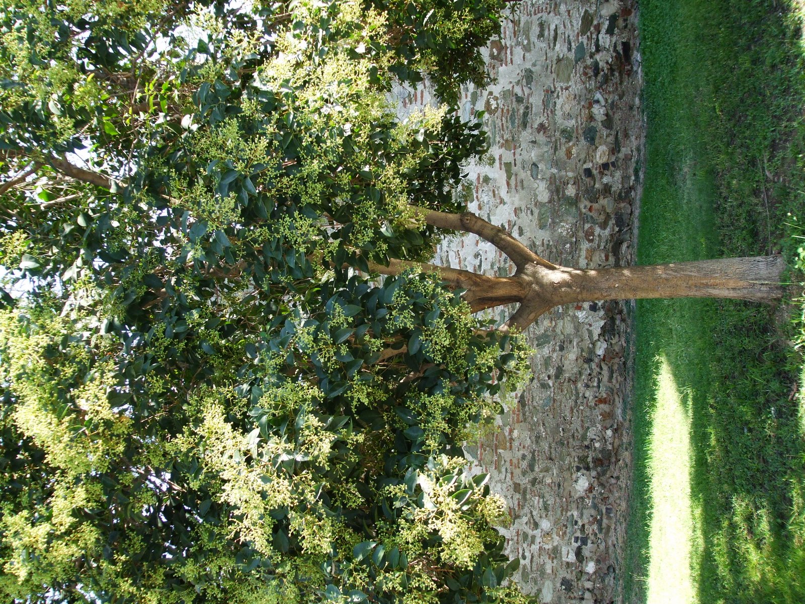 [DSCF0518.JPG]