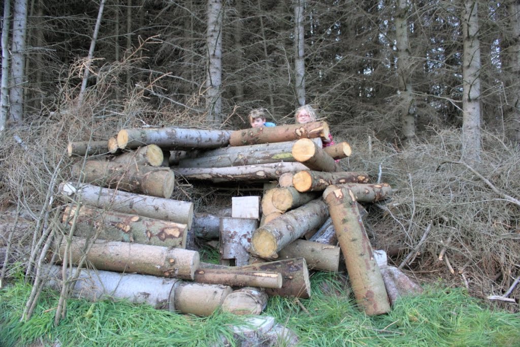 TheTamshee Log Pile House