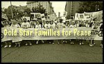 Gold Star Families for Peace