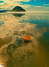 "Sea Shell Visits the Beach"