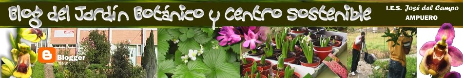 José del Campo: Jardín  Botánico-Centro Sostenible