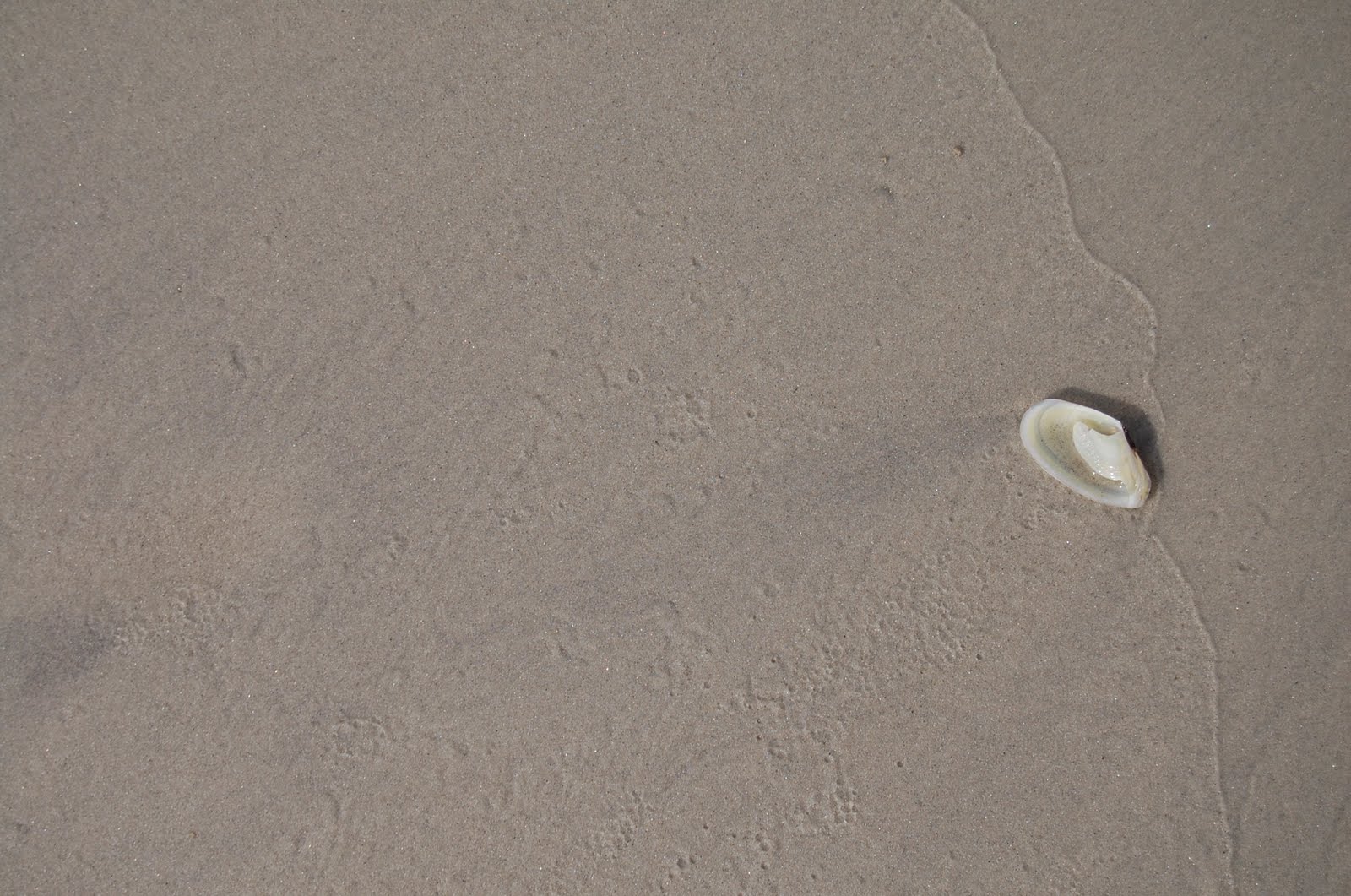 BITS & PIECES Jekyll Island, GA