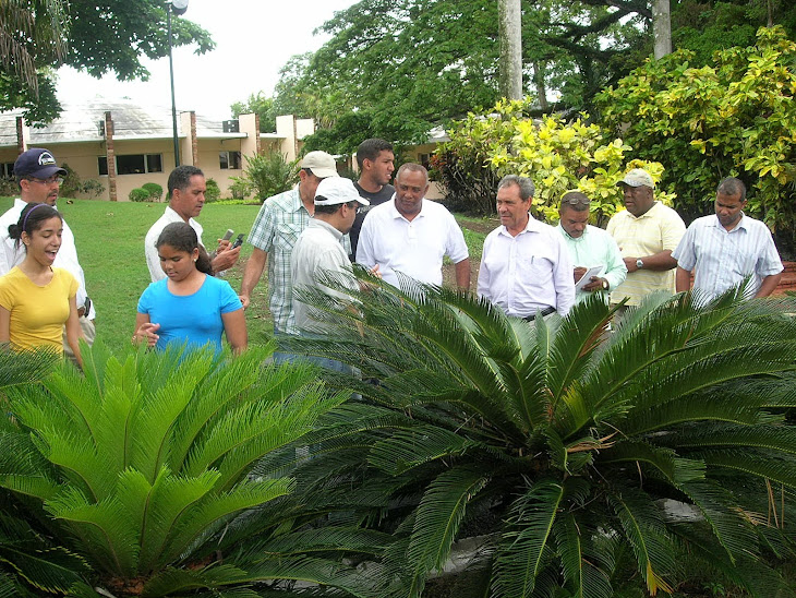 Recorrido en el jardín