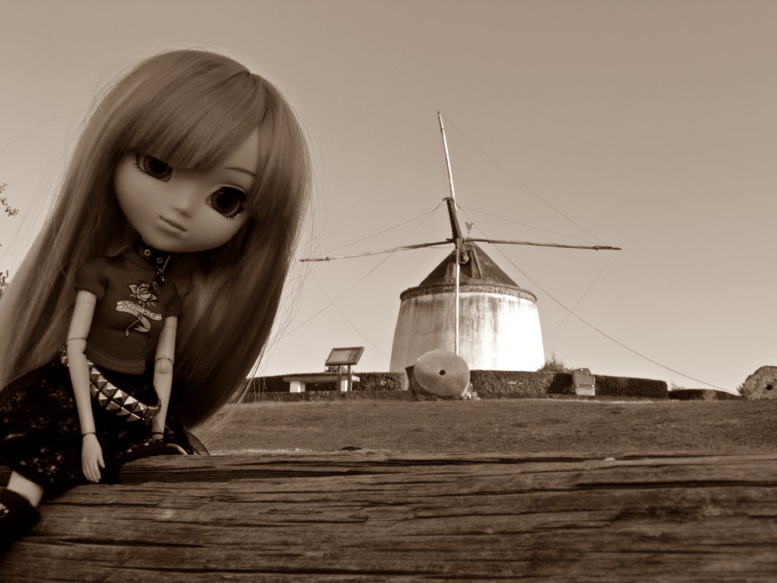 DISFRUTANDO EL PRESENTE: pullip chelsea