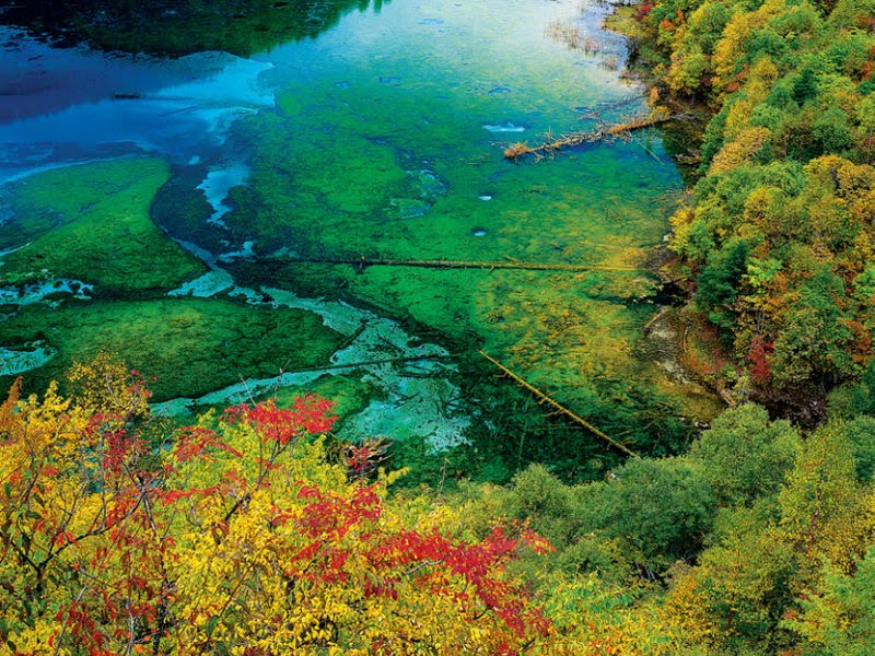 [jiuzhaigou+09.jpg]
