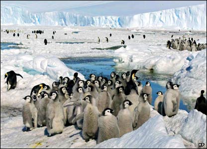 [Antártica+03.jpg]