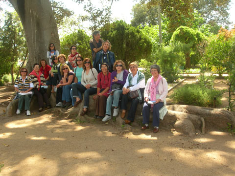 [Botanico-ajuda.jpg]