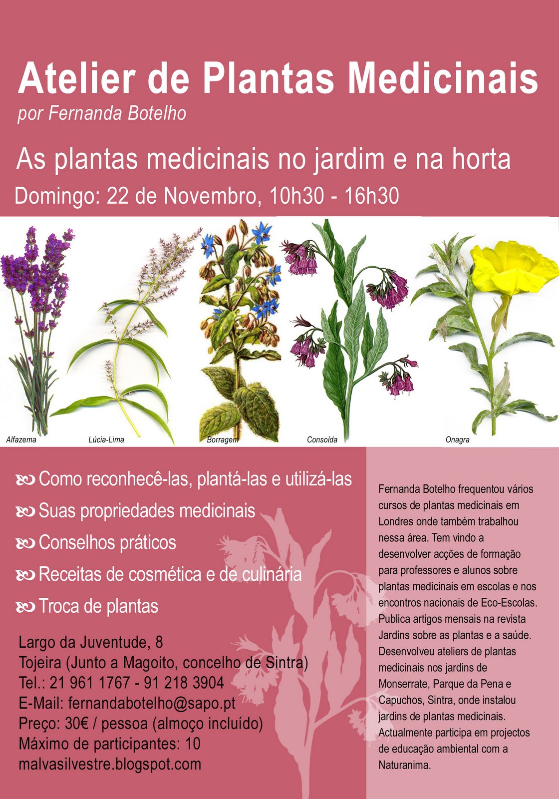 [AtelierPlantas_Nov2009.jpg]