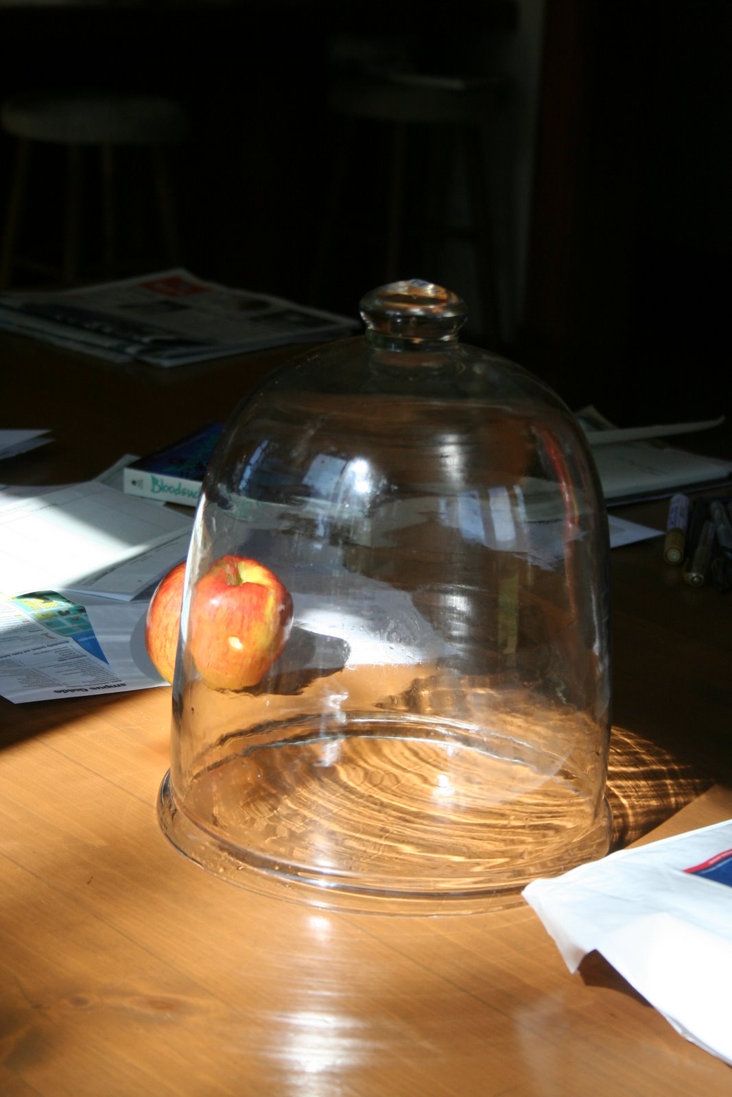 [IMG_3608.JPG]