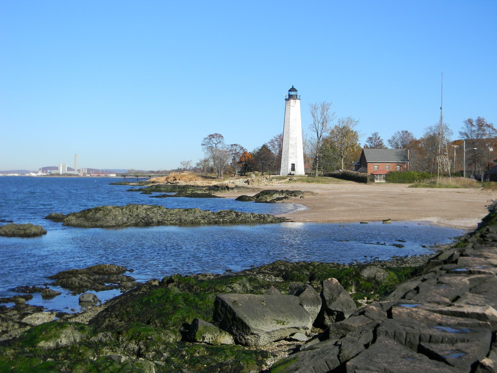 A Little Lamb's Thoughts Lighthouse Park East Haven, CT