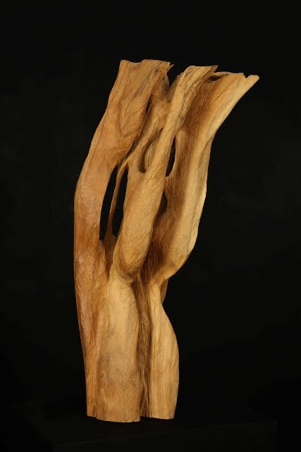 Grasa Nueva Arma Para Motosierra Desbrozadora Pinon De La Barra Guia