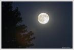 Full Sturgeon Moon-Aug. 24, 2010