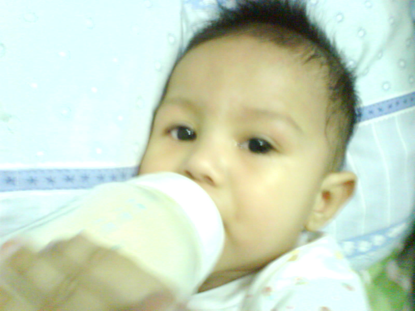[DSC00732.JPG]