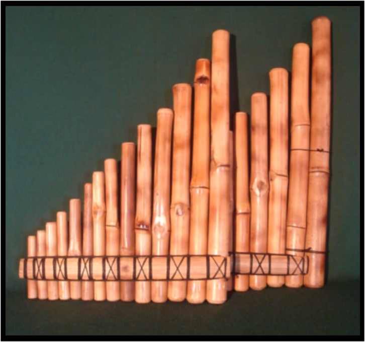 FERNANDO CHAVEZ INSTRUMENTOS DE BAMBU