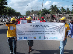 FENAPA