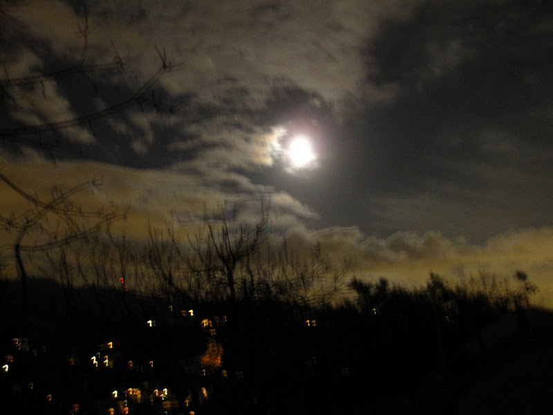 Photo of night sky and near full moon taken in the Hollywood Hills