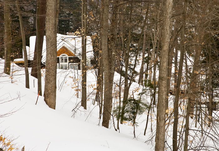 Cabin in the woods in winter