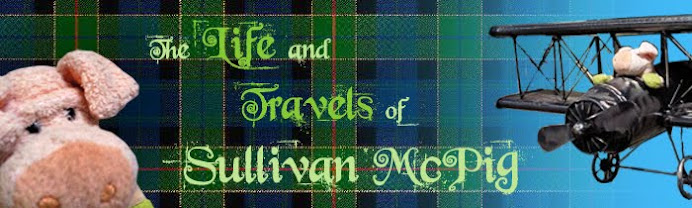 The Life and Travels of Sullivan McPig