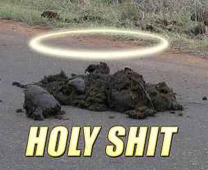 [Holy+Shit.htm]