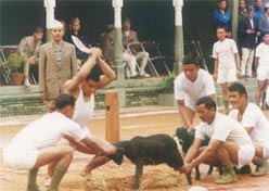 Bikram sambat nepal picture