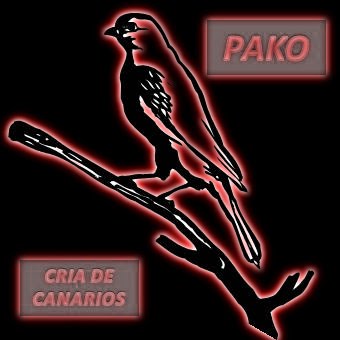 Los canarios de Pako