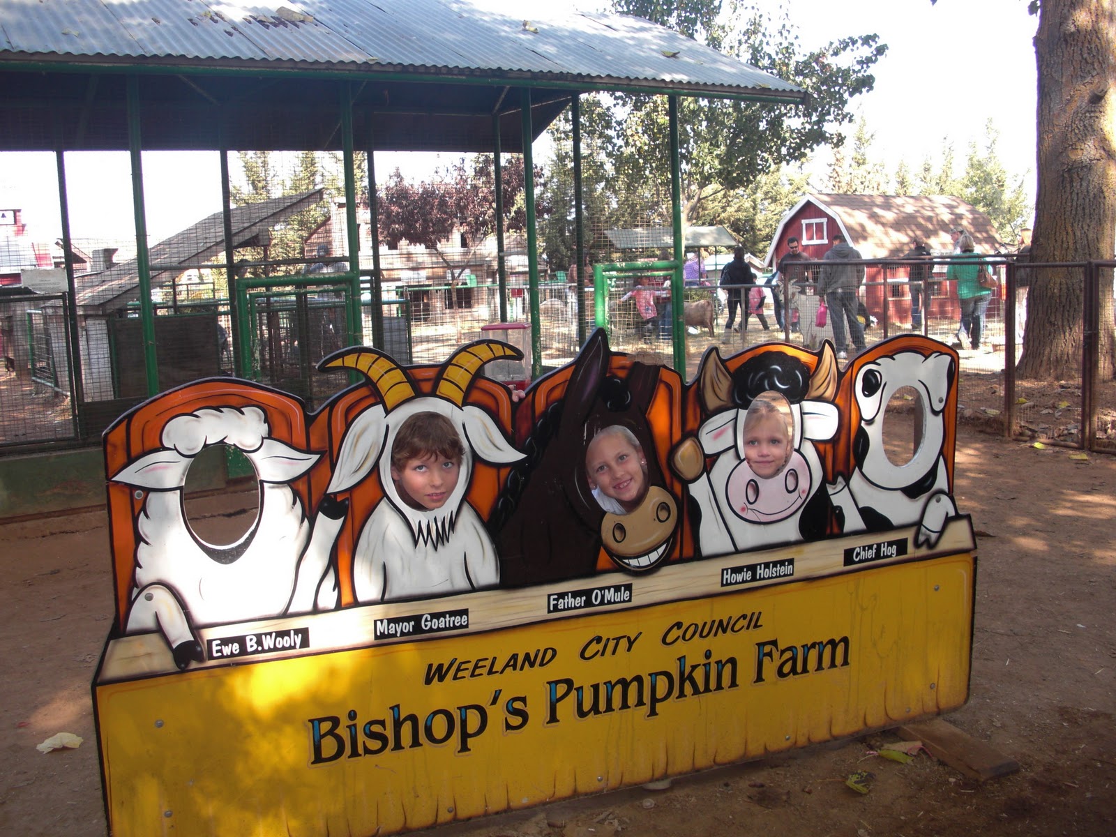 Stephen Family Updates Pumpkin Farm