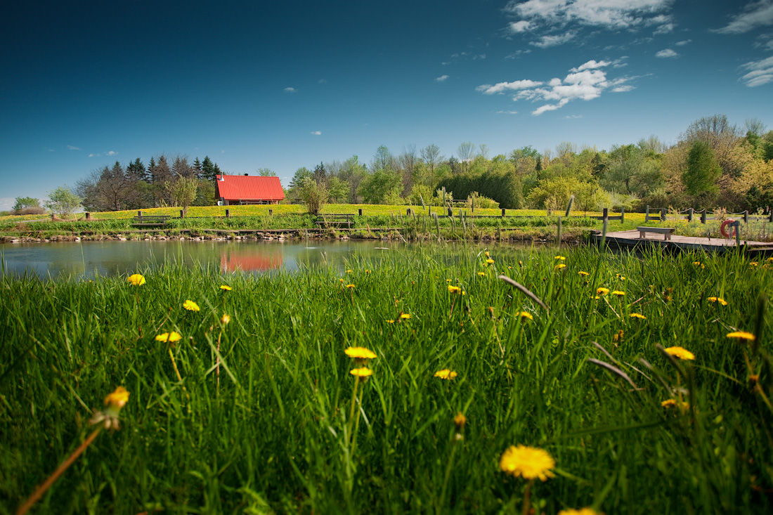 nature wallpaper: nature wallpaper