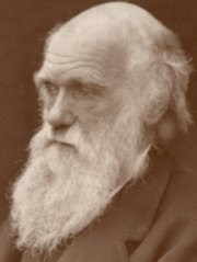 El Árbol de la Vida: 150 años de la Teoría de la Evolución de Charles Darwin