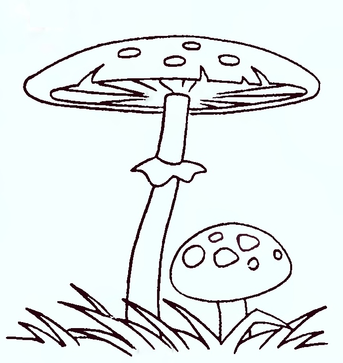 Как нарисовать мухомор для детей 4 5 лет