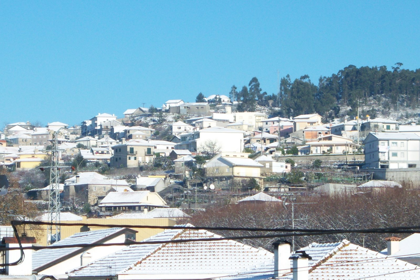 [100_0503.JPG]