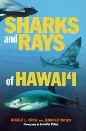 Book Cover 'Sharks and Rays of Hawaii'