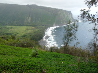 Looking into Waipio Valley from Lookout