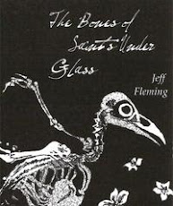 The Bones of Saints Under Glass