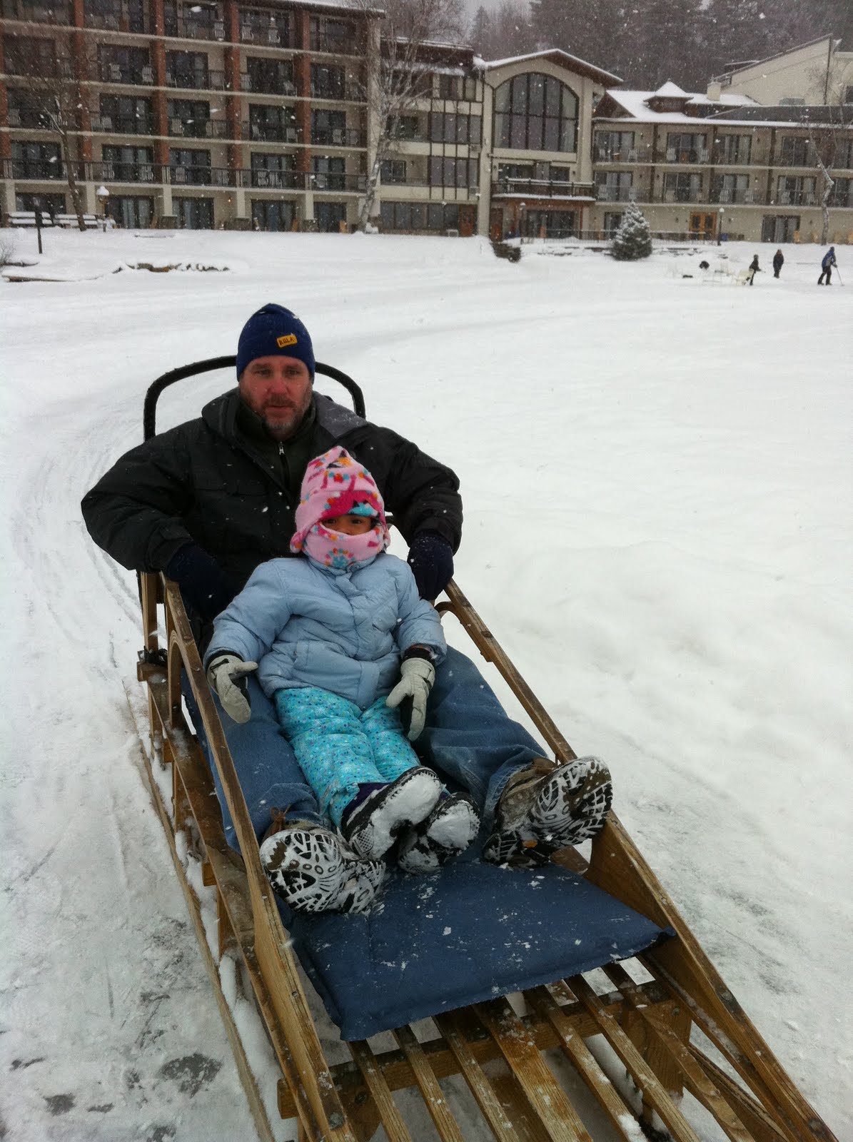 KatNaps Dog sled ride in lake placid