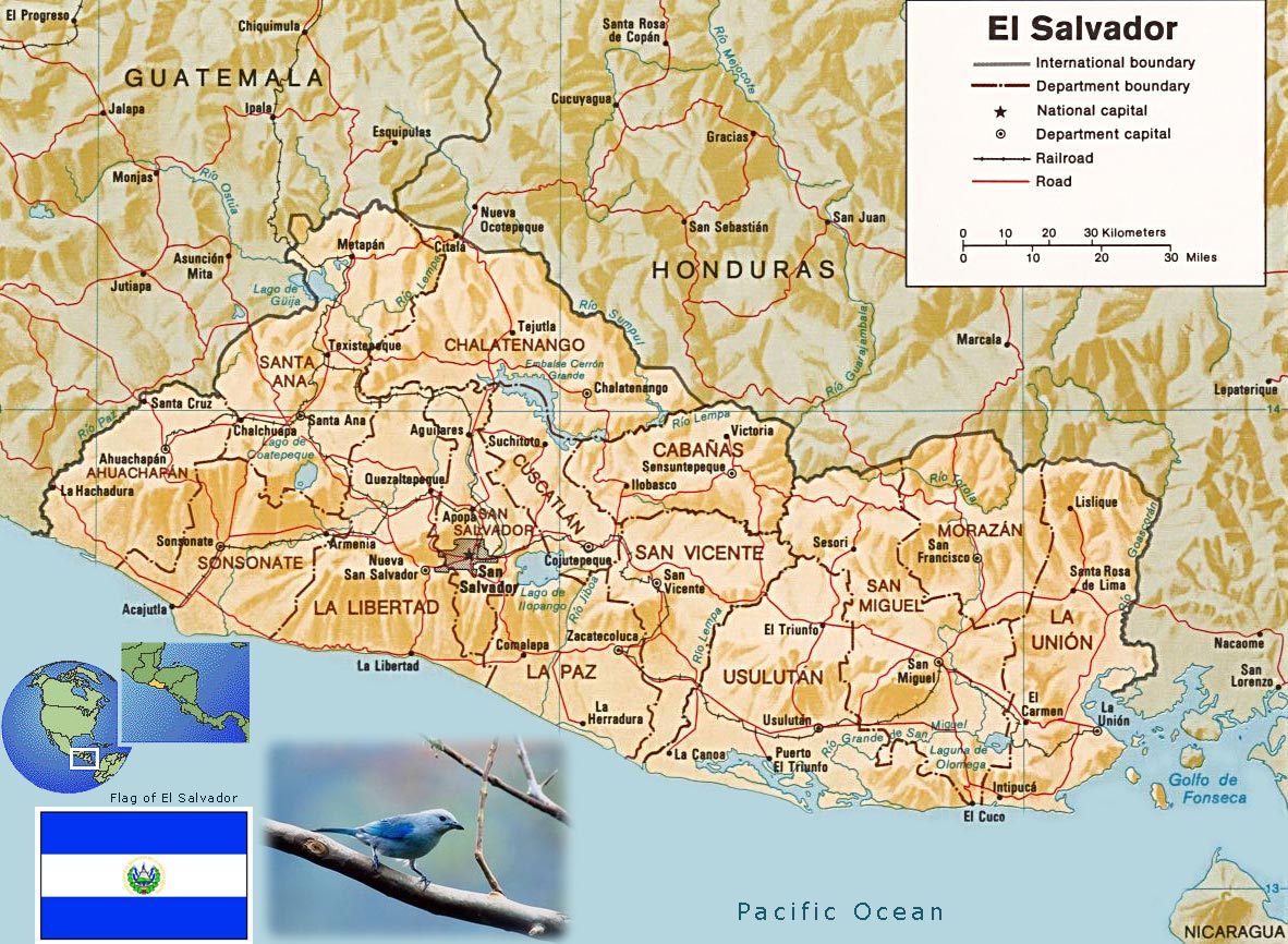 estudio-regional-am-rica-latina-el-salvador