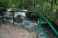 Colección Cerro San Bernardo de Paola Cuevas