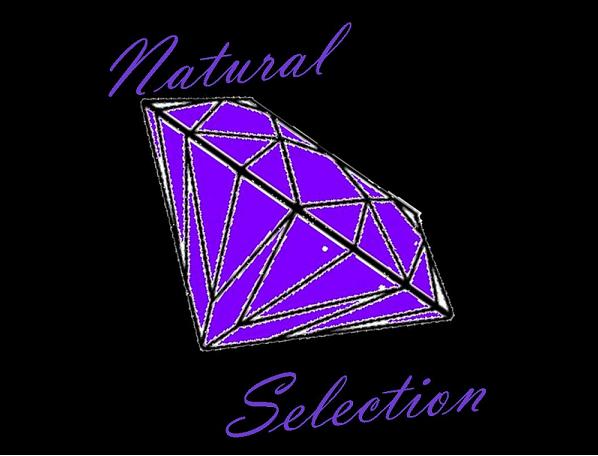 Natural Selection Car Club