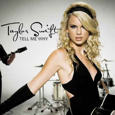 tell me why taylor swift mp3