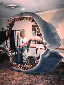 [Megalodon.jpg]