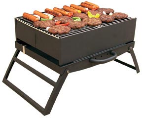Best Backyard Grill Portable Grill