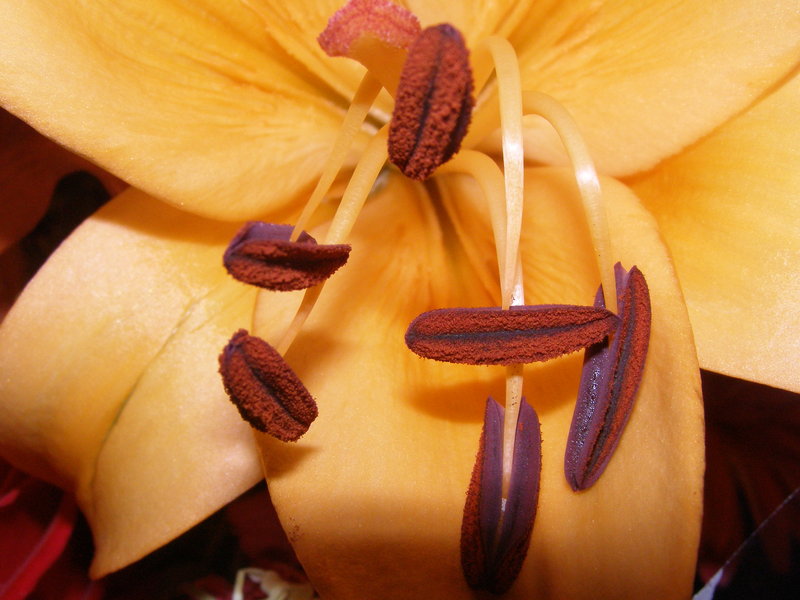 [A_bit_of_Colour_by_laline[1].jpg]