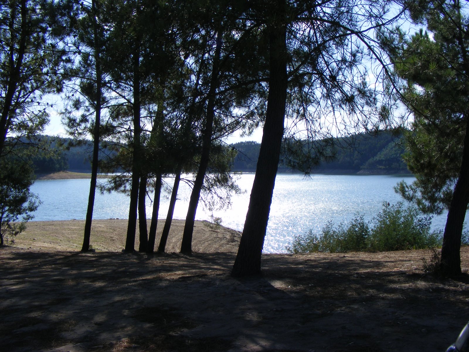 [ferias2008+001.jpg]