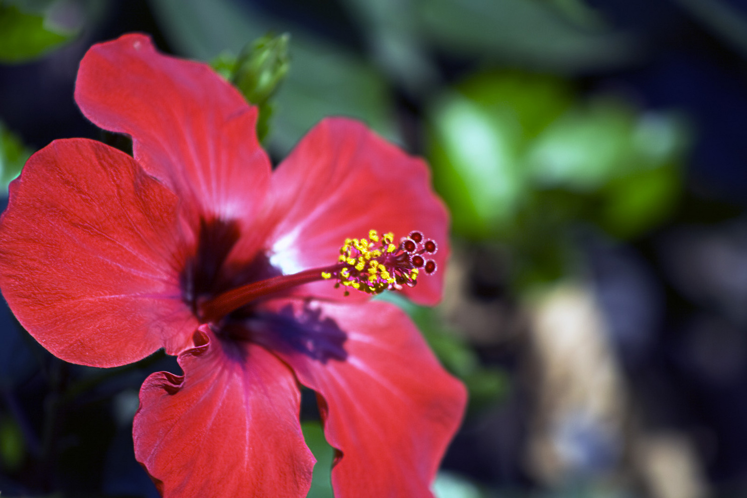 [2846999_large.jpeg]