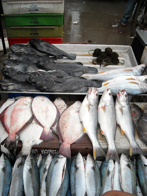 Productos del mar, Caleta Portales, Valparaíso, Chile