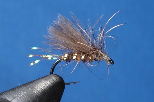 Grayling on the Fly: May 2010